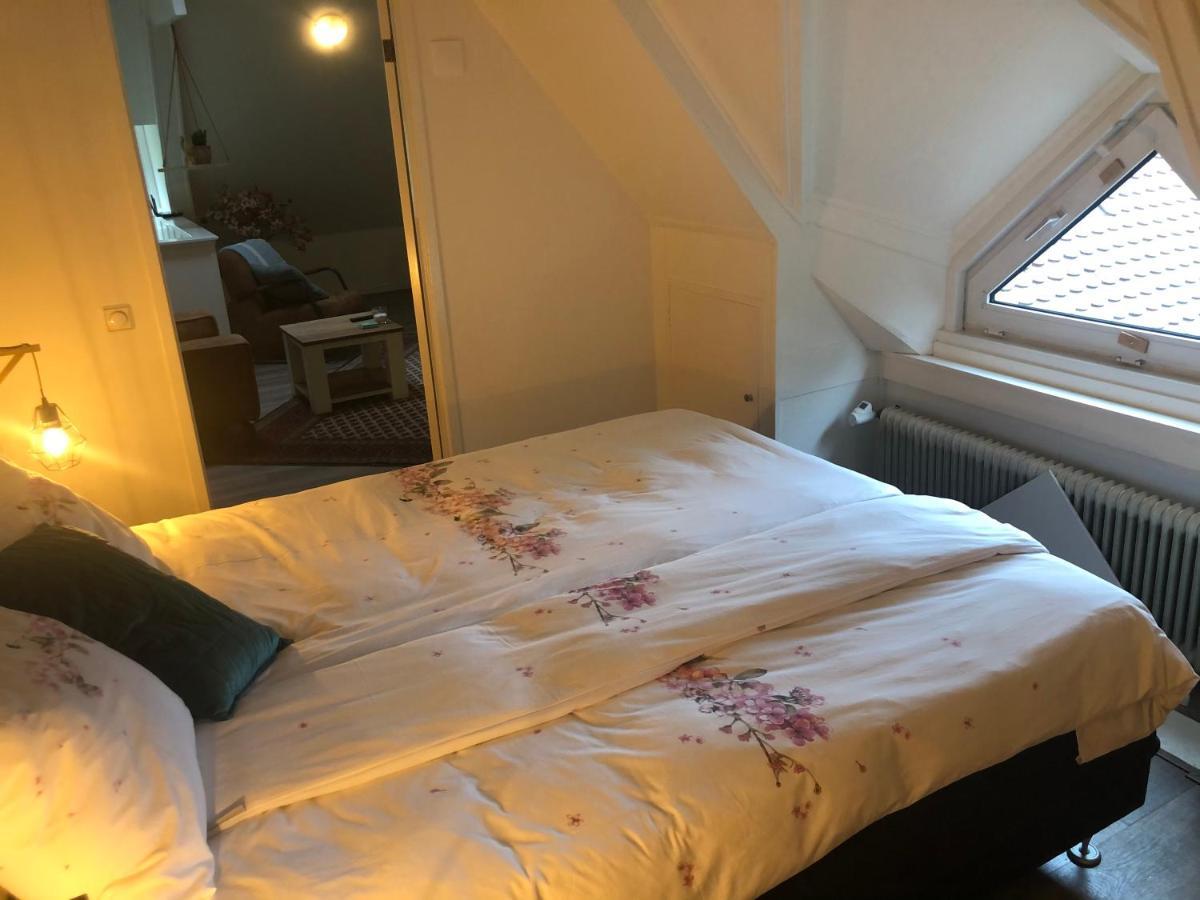Guesthouse Villa De Eikhof هينغِلو المظهر الخارجي الصورة